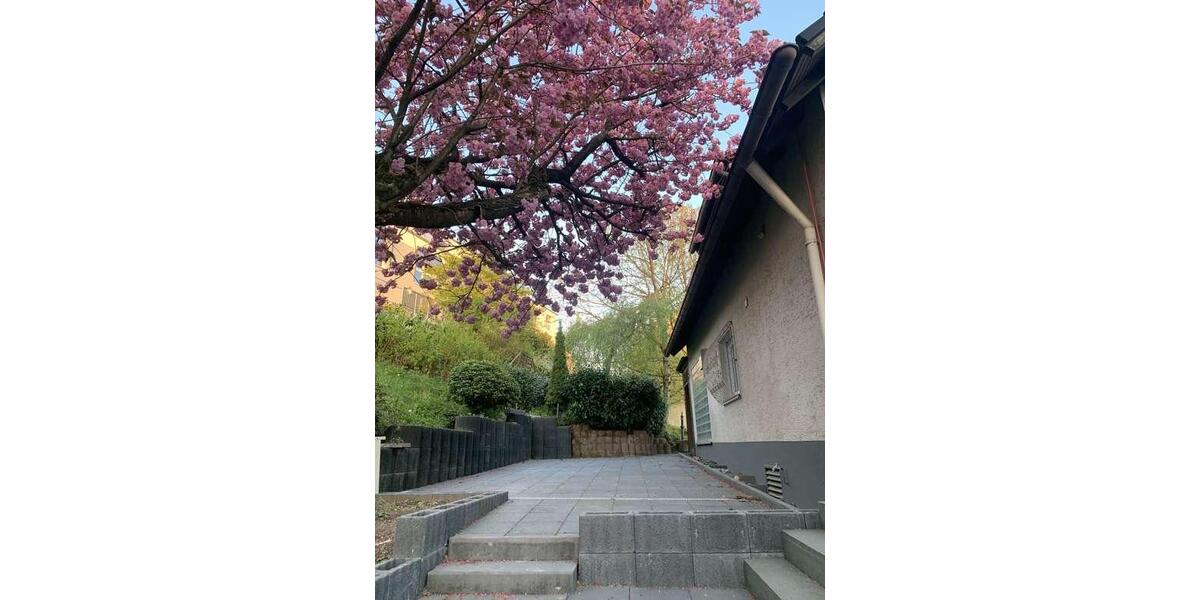 Freistehendes Einfamilienhaus mit Schwimmbad und Sauna 6 zimmer