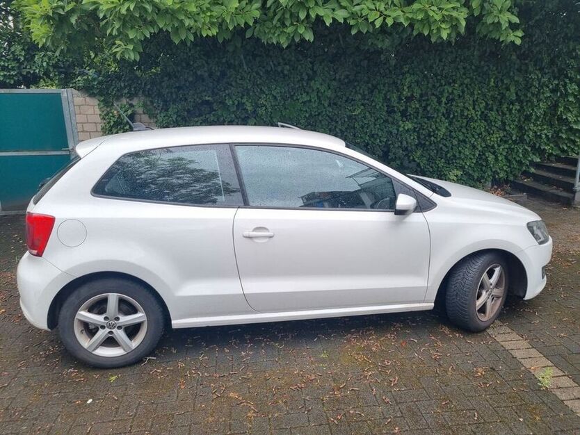Polo