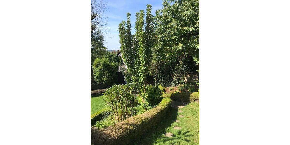 2-Zimmer-Wohnung mit EBK und Garten - Glasfaser vorhanden 2 zimmer