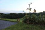 Gewerbeobjekt Burscheid - 500&euro; | Angebot:26424827