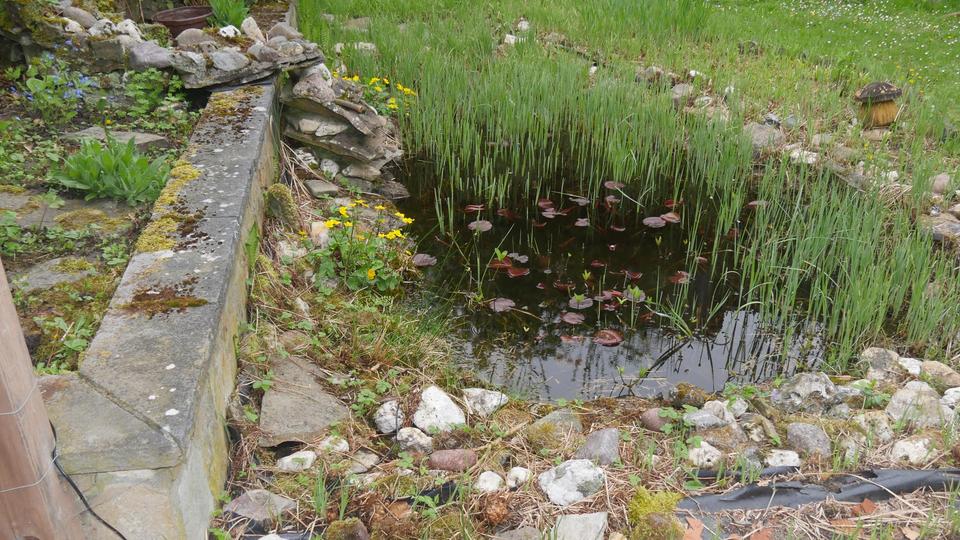 Einfamilienhaus Ratingen Homberg - 6.5 Zimmer, 145 m&sup2;, 2.025&euro; | Angebot:26162644