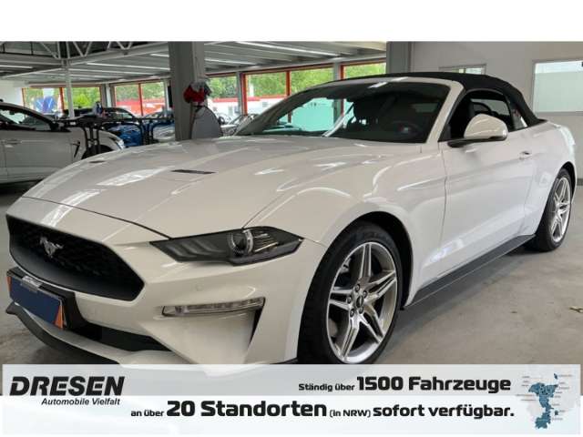 Mustang
