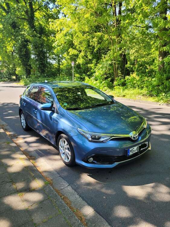 Auris