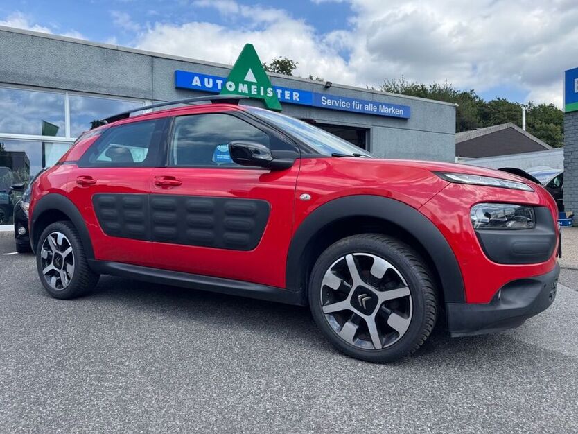 C4 Cactus