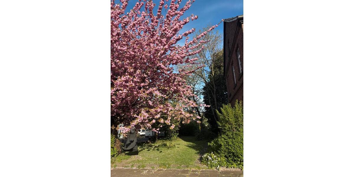 Einfamilienhaus Bergheim Auenheim - 9 Zimmer, 300 m&sup2;, 670.000&euro; | Angebot:26126905