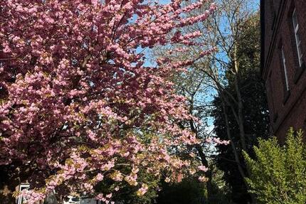 Haus Bergheim Auenheim - 9 Zimmer, 300 m&sup2;, 670.000&euro; | Angebot:26126905