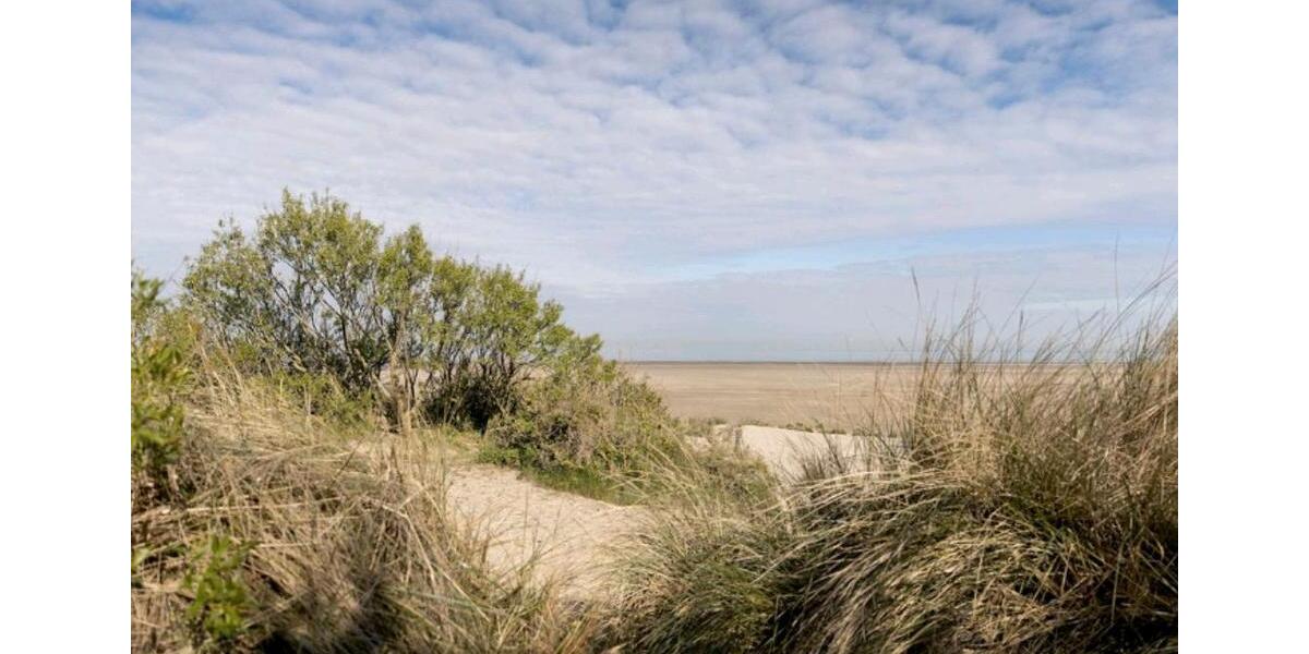 Ferienimmobilie Düsseldorf Stadtbezirk 8 - 95&euro; | Angebot:25338986