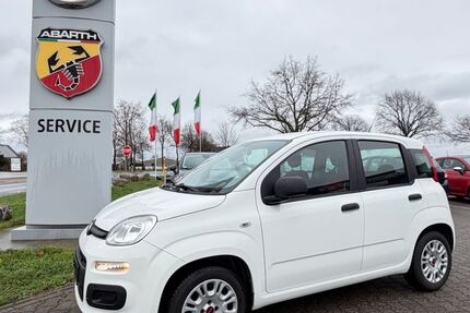 Fiat Panda 95.300 km 5.790 &euro; Grevenbroich 41515
