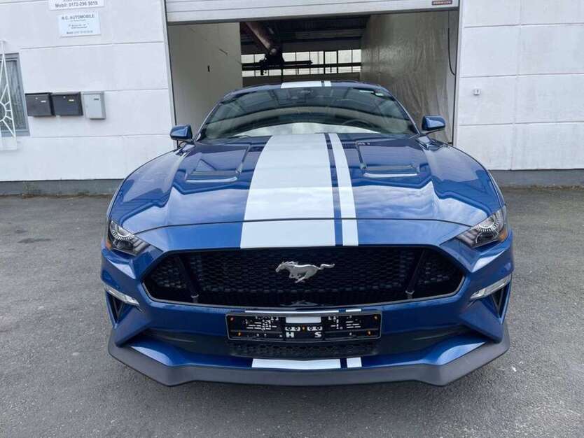 Mustang