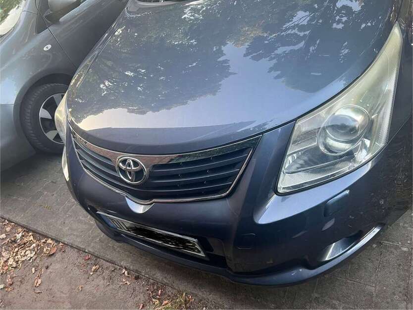 Avensis