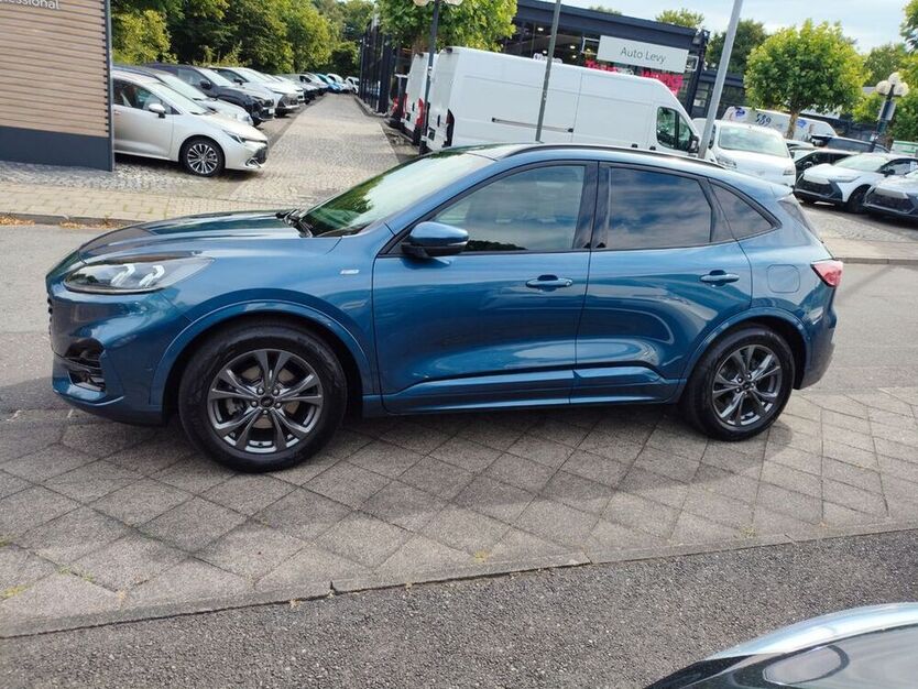 Kuga