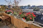 Etagenwohnung Hilden - 3 Zimmer, 83 m&sup2;, 325.000&euro; | Angebot:26477566