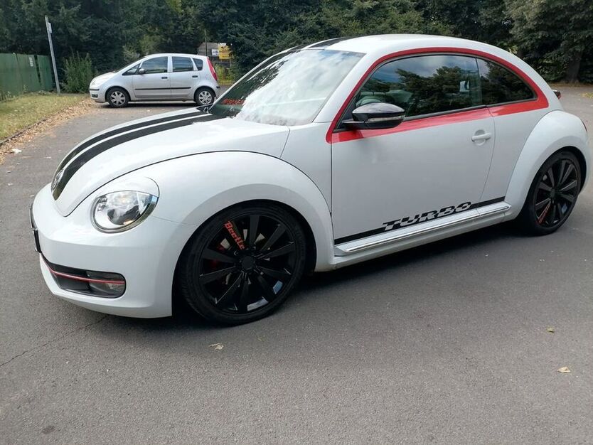 Beetle