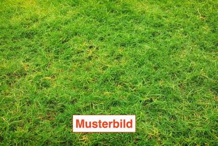 Grundstück zu verkaufen in Meerbusch 435.000 € 645 m²