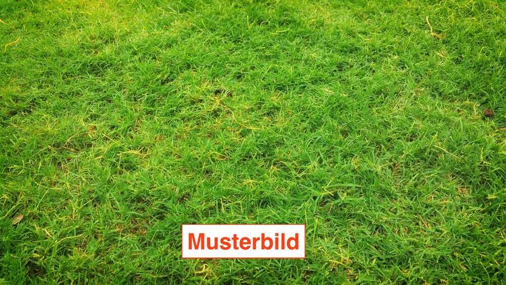 Grundstück zu verkaufen in Meerbusch 435.000 € 645 m²