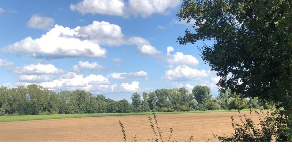 Preissturz! Gartenwohnung für handwerklichen Potentialerkenner 3 zimmer