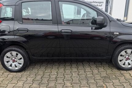 Fiat Panda 85.381 km 4.500 &euro; Düsseldorf 40472