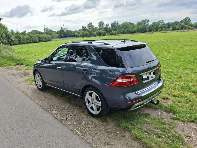 ML 350