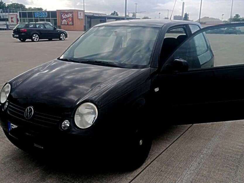 Lupo