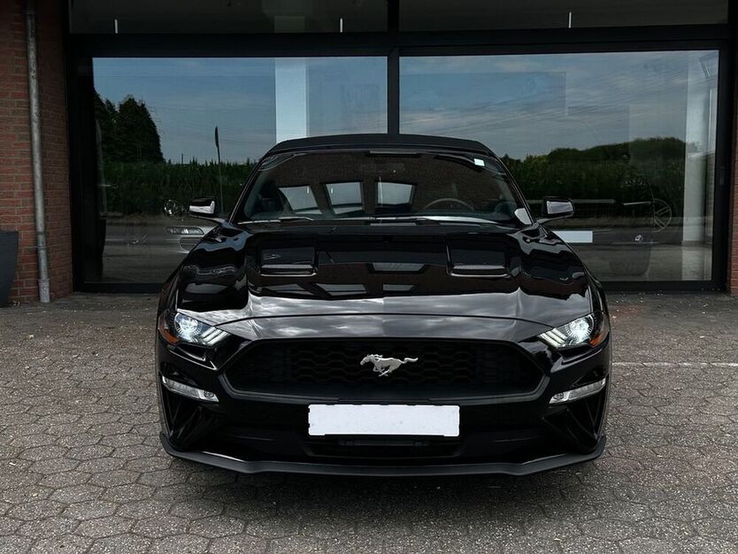 Mustang