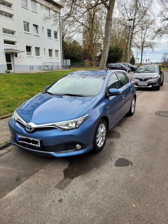 Auris