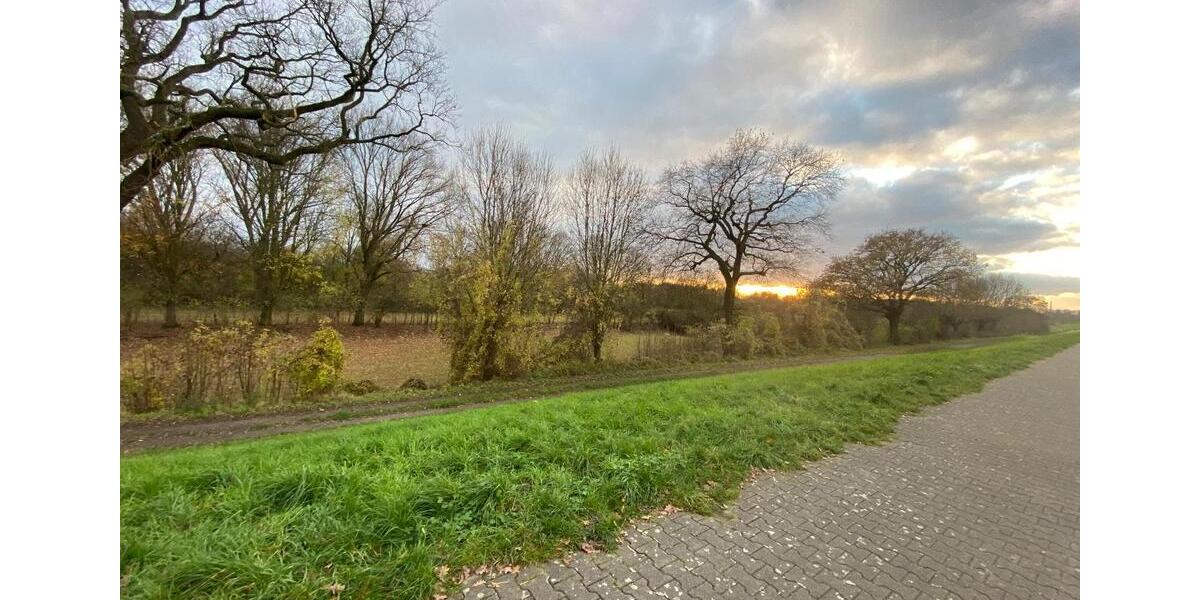 Reihenhaus in traumhafter grüner Lage am Naturschutzgebiet 3 zimmer