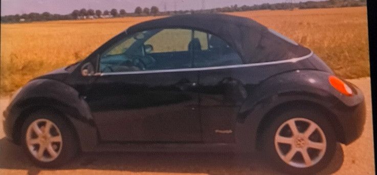Beetle