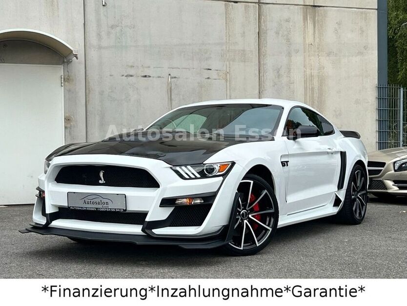 Mustang