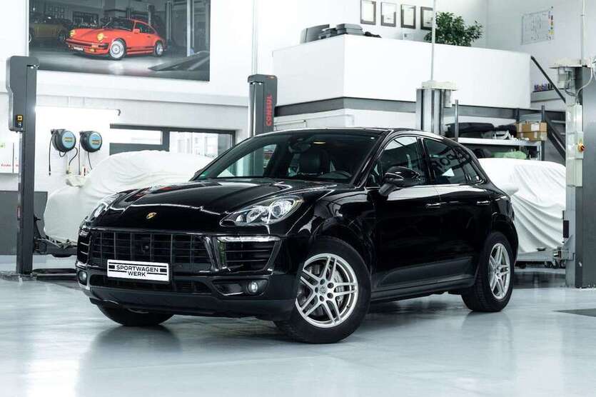 Macan