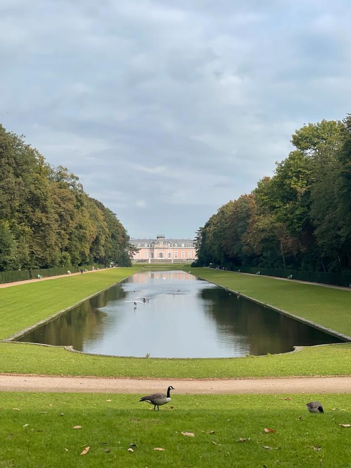 Von Privat! Ruhige und stilvolle Wohnung mit Balkon nahe Rhein.