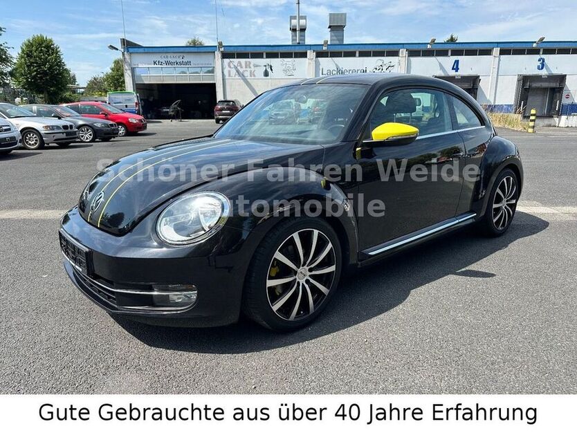 Beetle
