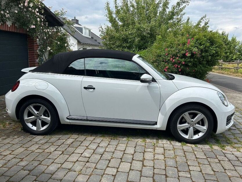 Beetle