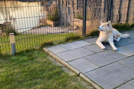 Ferienimmobilie Düsseldorf Niederkassel - 145&euro; | Angebot:26284138