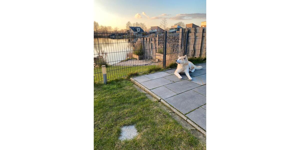 Ferienimmobilie Düsseldorf Niederkassel - 145&euro; | Angebot:26284138