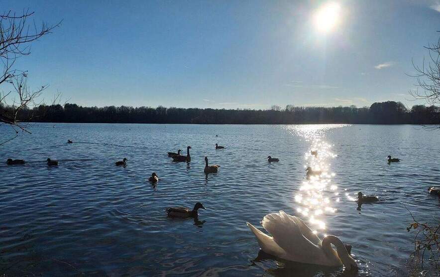 Günstige Erdgeschosswohnung mit Terrasse in bester Lage 3 zimmer