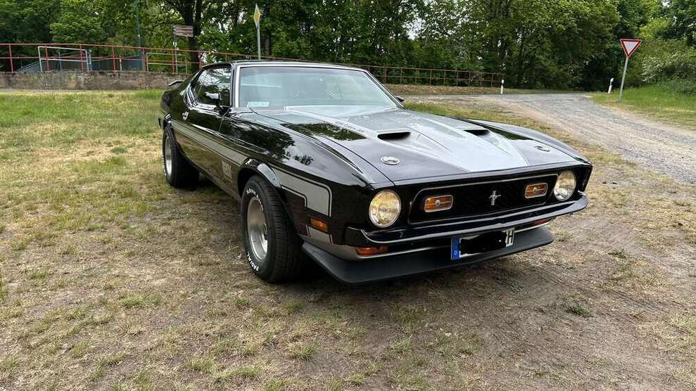 Mustang