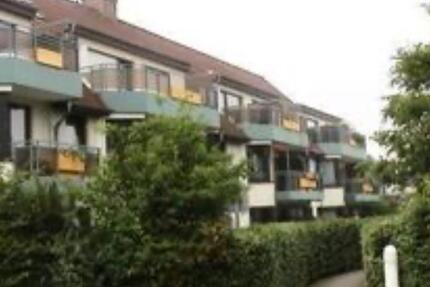 1-ZKDB in Zentraler Lage von St.Tönis 1 zimmer