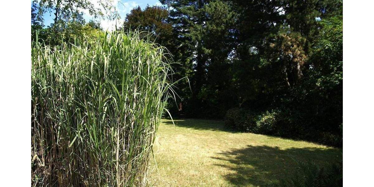 Mehrfamilienhaus, Wohnhaus Düsseldorf Urdenbach - 4 Zimmer, 121 m&sup2;, 739.000&euro; | Angebot:25742631