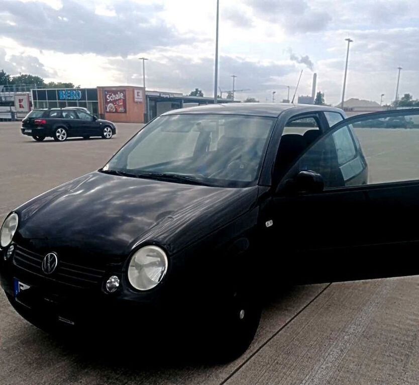 Lupo