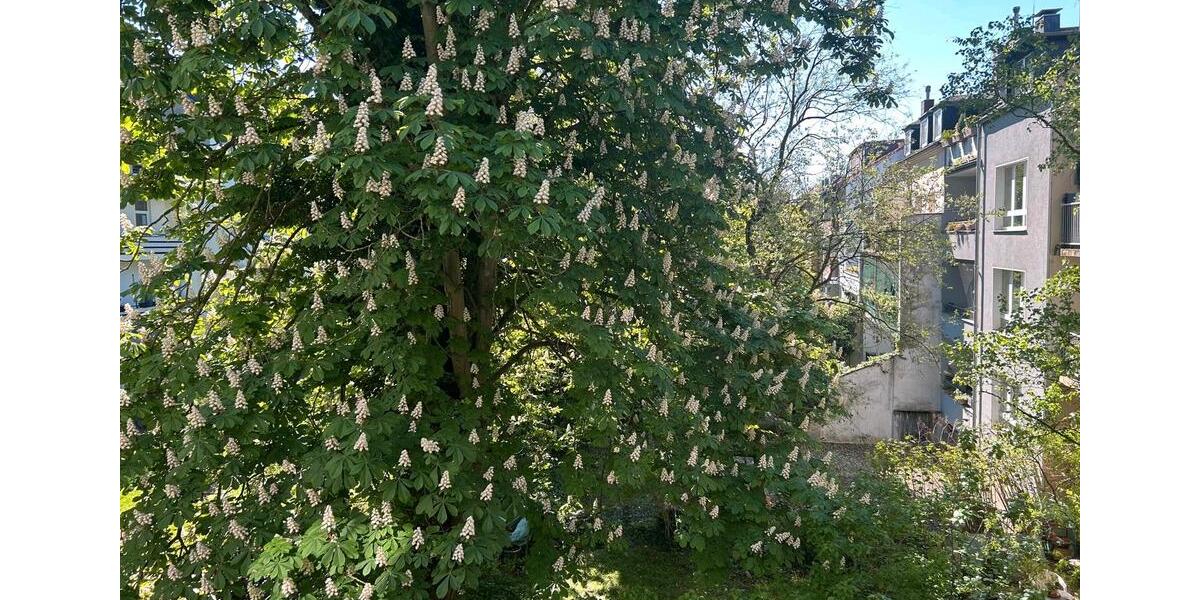 Etagenwohnung Duisburg Duisburg-Mitte - 2 Zimmer, 50 m&sup2;, 540&euro; | Angebot:26415542