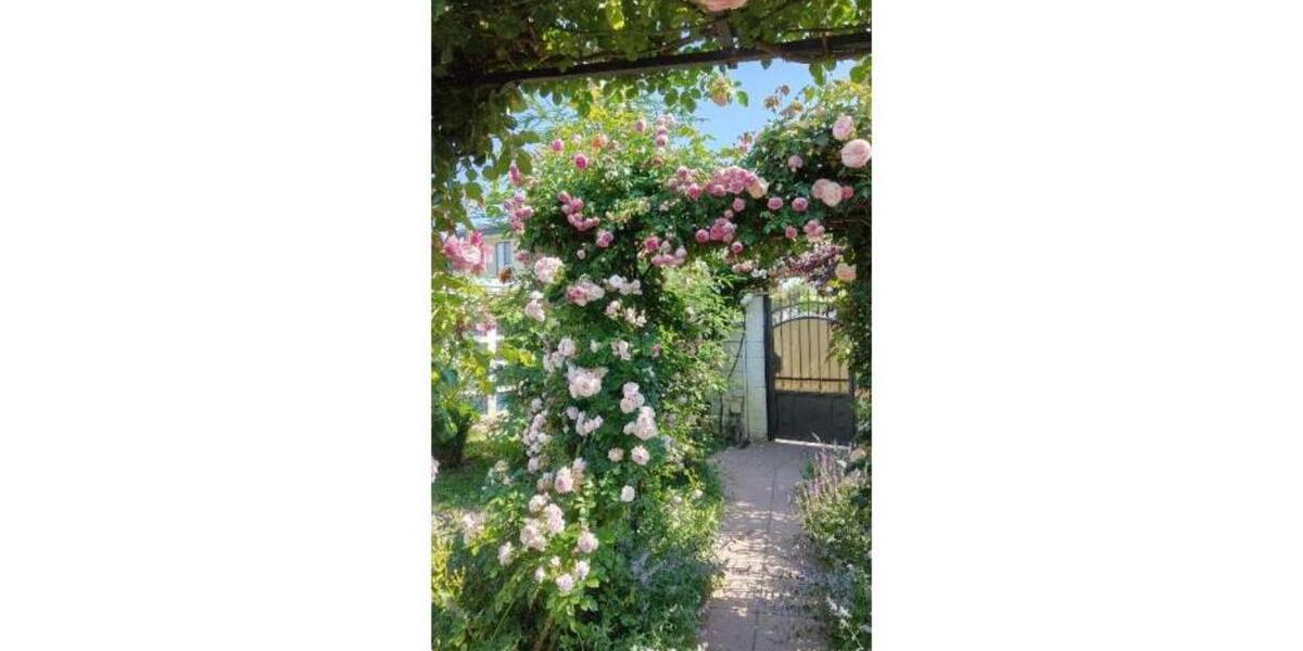 Exklusives Einfamilienhaus mit Pool nahe Varna (Bulgarien) zimmer