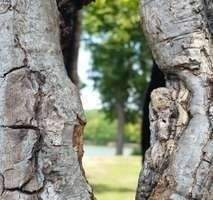 Neues saniertes Zuhause in Nähe des Waldes ! 3 zimmer