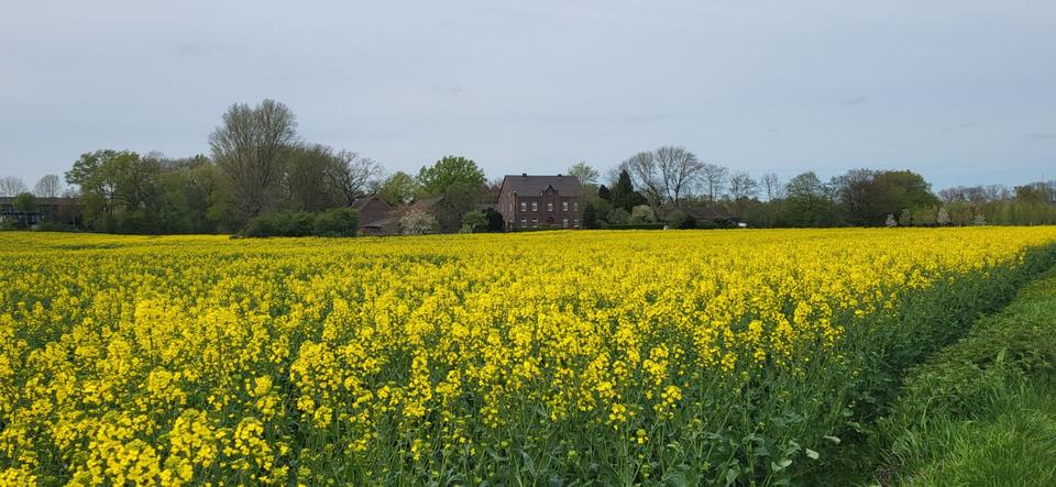 Bungalow Meerbusch - 4 Zimmer, 148 m&sup2;, 1.079.000&euro; | Angebot:26399148