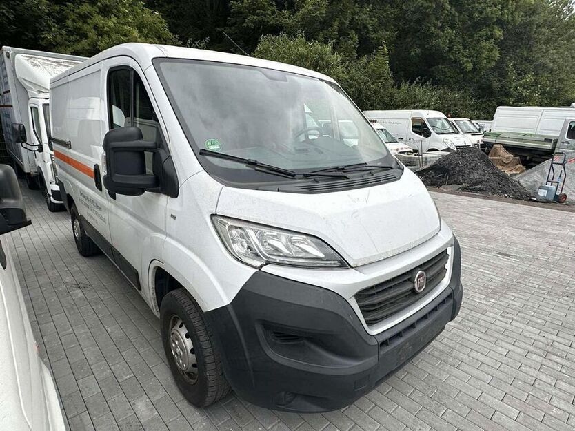 Ducato