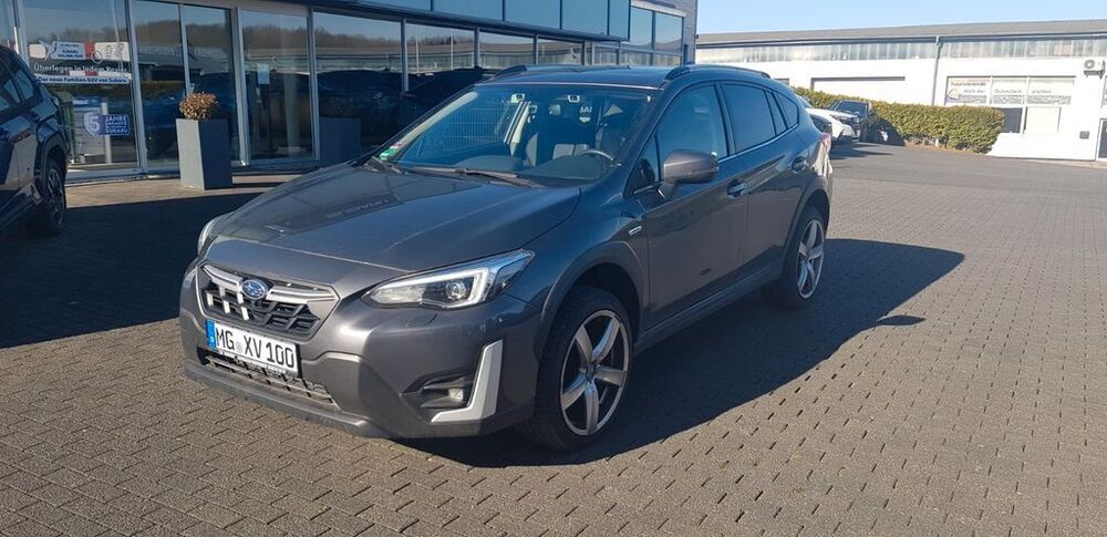 XV