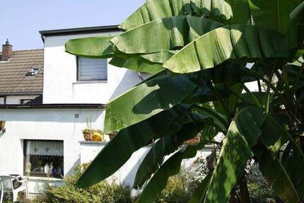 Haus Düsseldorf Urdenbach - 4 Zimmer, 145 m&sup2;, 325.000&euro; | Angebot:24367868