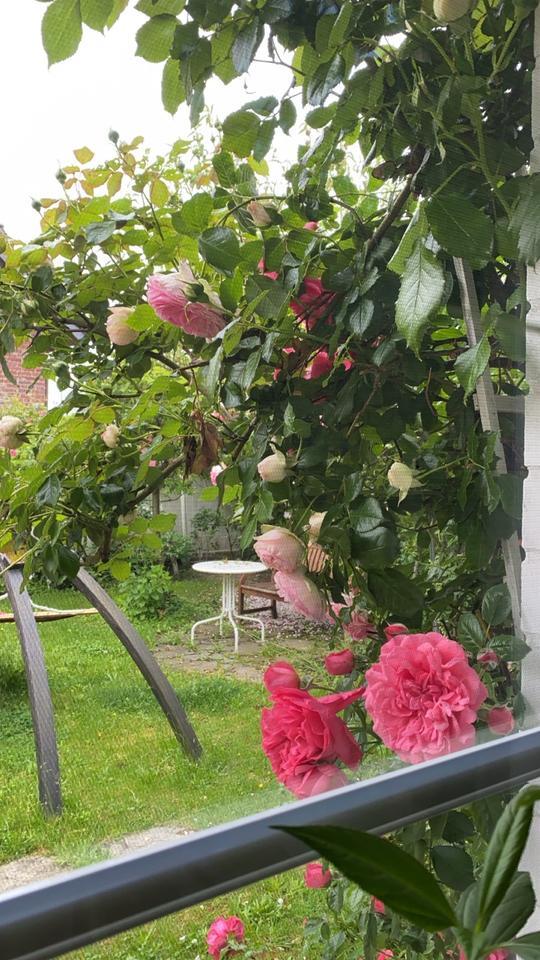 Freistehendes Einfamilienhaus provisoonsfrei zu verkaufen