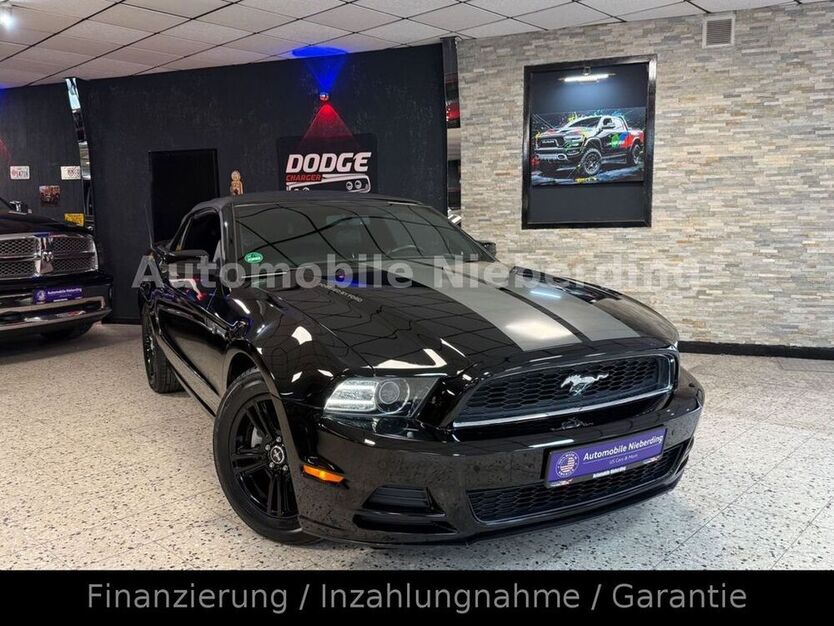 Mustang