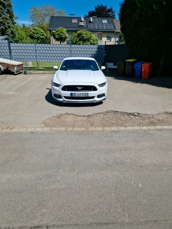 Mustang