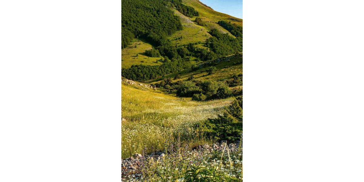 Ferienimmobilie Düsseldorf Stadtbezirk 8 - 37&euro; | Angebot:25562830